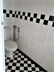 Cairnhill Plaza (D9), Apartment #570123851